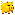 黃金豬