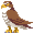 鷹